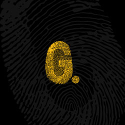 G-Edition Website Thumbnail